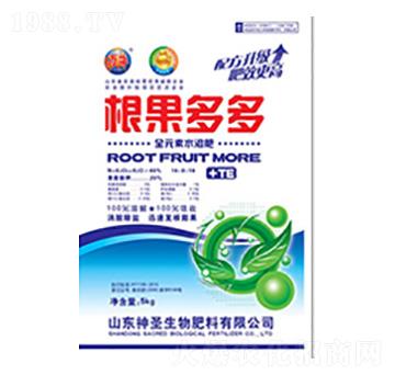 ������ࣨ�����棩-��ʥ����