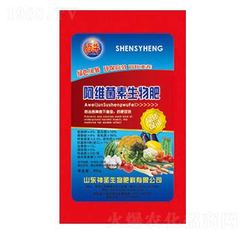 ���S���������-��ʥ����