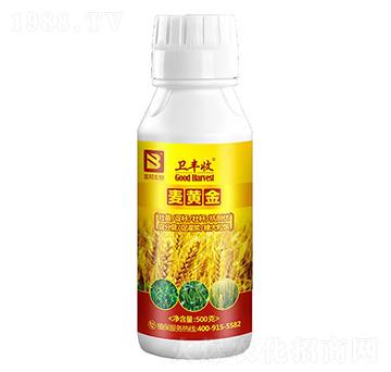 ���S��-�l(w��i)�S��-��������