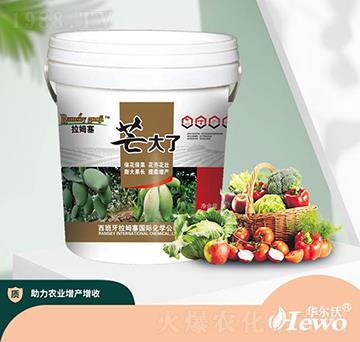 芒大了-拉姆塞-華爾沃