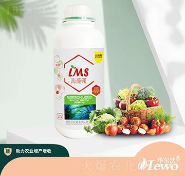 海藻硼-拉姆塞-華爾沃