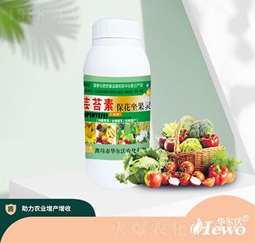 �|̦�ر��������`-�A����