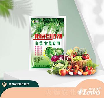 �ײ˸��{(l��n)�������Ą�-�A����