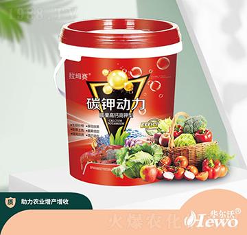 ������}�����̼⛄�(d��ng)��-�A����