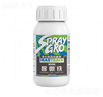 ������-�����ط�