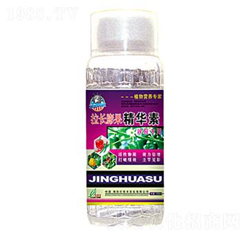 拉長膨果精華素-億佳豐