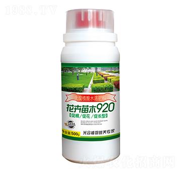 ������ľ920-�r(n��ng)������