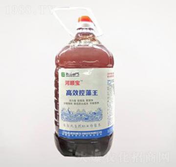 高效控藻王（光合菌）-河順寶-鹽農循環(huán)