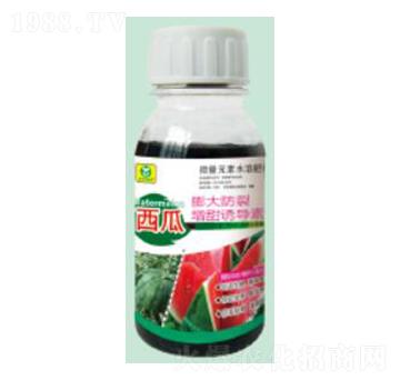 ���������������T��(d��o)��-��������