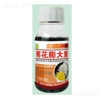 �ջ������-��������