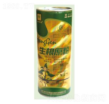 ����ԭ��-��������