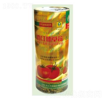 ���t����ݮ������ɫ�������T����-��������