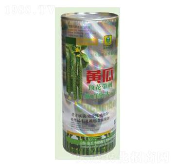 �S�������-��������