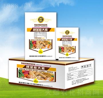 ���o�����-���ؠ��r(n��ng)��