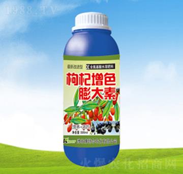 �����ɫ�����-���ؠ��r��