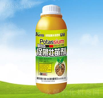���ϑB(t��i)�ٸ����焩-���ؠ��r��
