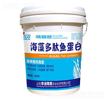 海藻多肽魚蛋白-華潤榮邦