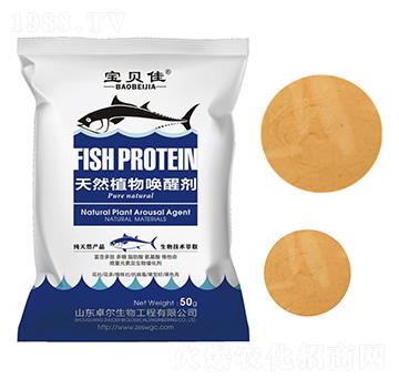 ��Ȼֲ��ф�-��ؐ��-׿������