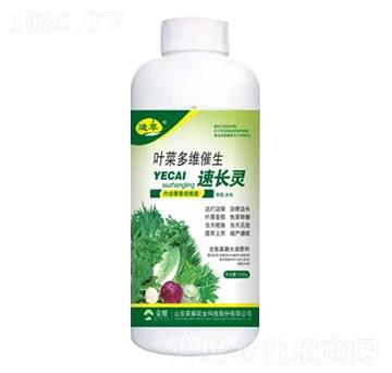 1000g葉菜多維催生速長靈-榮耀農(nóng)業(yè)