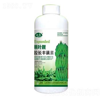 1000g拉長豐滿素-蕉葉靚-榮耀農(nóng)業(yè)