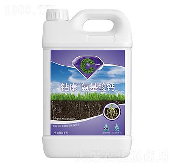 �@���������}-��ţ�r(n��ng)�I(y��)