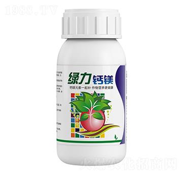 �G�����}�V-��ţ�r�I(y��)