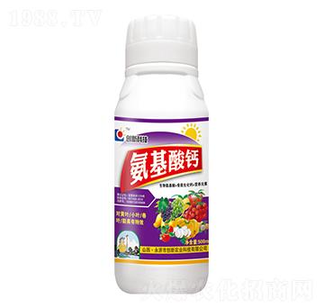 500ml�������}-��(chu��ng)�¿Ƽ�