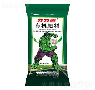 ���ĸ��}�ЙC(j��)����-����������