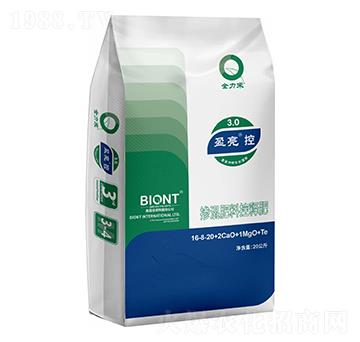 ������Ͽ�ጷ�16-8-20-������