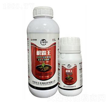 根霸王含氨基酸型水溶肥-稼壯碩豐-沃土生物