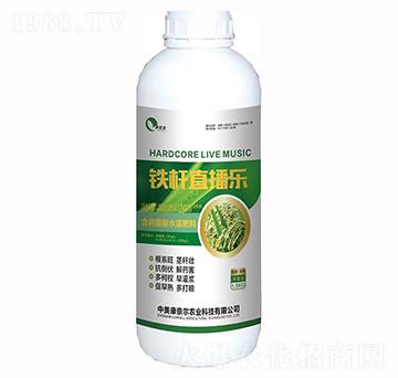 鐵桿直播樂-美爾豐-康奈爾