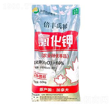 �r(n��ng)�I(y��)���Ȼ�⛣����w�w����-���S���Z-���S�r(n��ng)�I(y��)