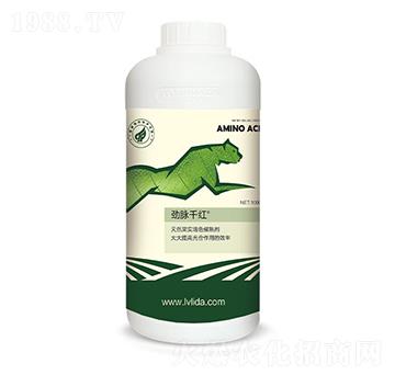 ��������ˮ�ܷ���-���}ǧ�t-�G���_(d��)