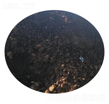 ţ�S�ЙC(j��)��-�r(n��ng)��ʘI(y��)