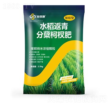 加硅型水稻返青分蘗柯杈肥-施?？? />
                                </div>
                            </div>
                            
                            <style type=