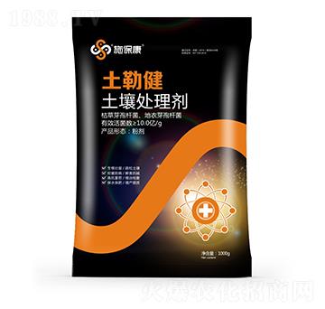 ����̎�턩-���ս�-ʩ����