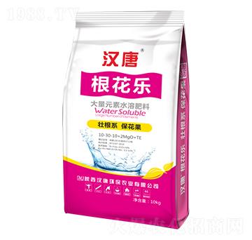 大量元素水溶肥料10-30-10+2MgO+TE-根花樂-漢唐農(nóng)業(yè)