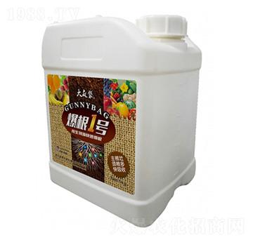 ����1̖(h��o)-�����-���v����