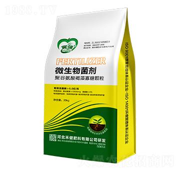 微生物菌劑-聚谷氨酸褐藻寡糖顆粒-冀強(qiáng)-禾健肥料