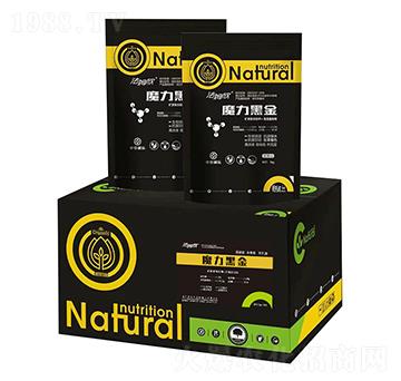 ħ���ڽ�-��ķ��-���r����