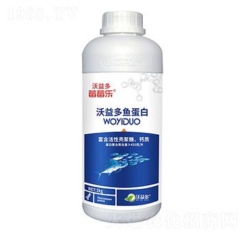 ������~����-ݮݮ��-�����