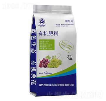 �W�������ь����ЙC(j��)����-�{(l��n)ɫ����