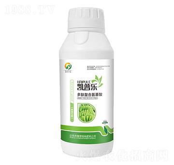 �㽶���ö������ϰ�����-�P�՘�-�Ŵ�����