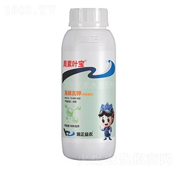 ���׸��(��������)-