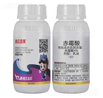 4%��ù������-�����(��i)