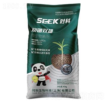 ̿���p��(����̿����)-�r������