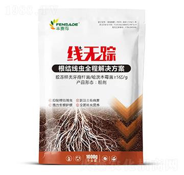 ���Y(ji��)���x(ch��ng)ȫ�̽�Q����-���o(w��)ۙ-�Sِ��