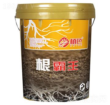 ������-ֲɫ����