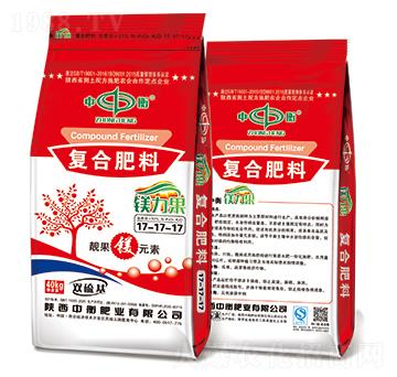 �V������(f��)�Ϸ���17-1