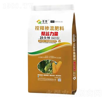 玉米專用控釋摻混肥料25-5-10-聚谷力量-千豐農業(yè)